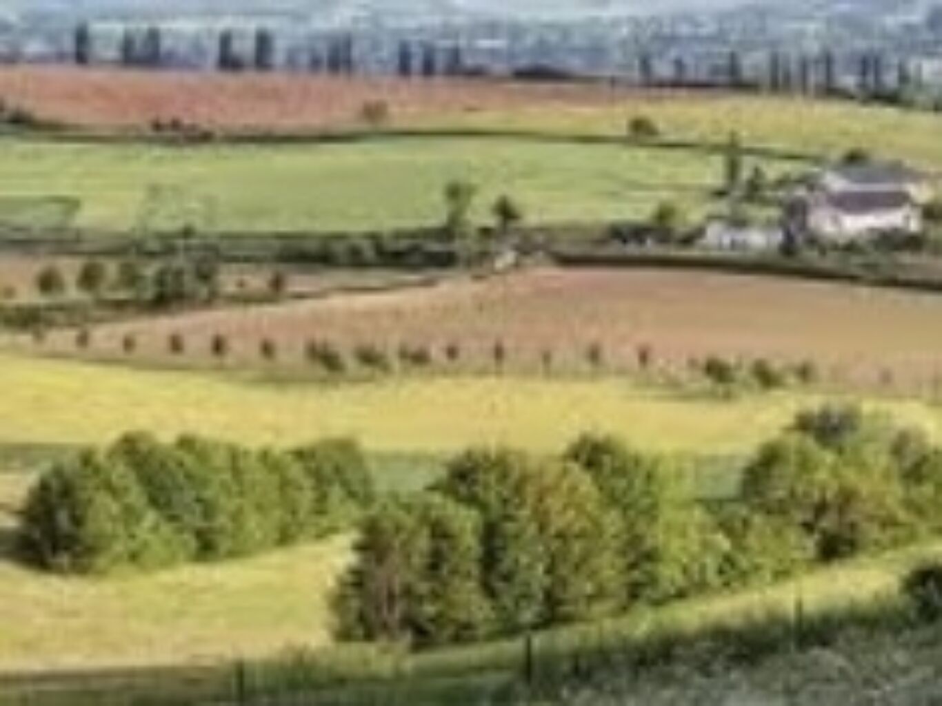 Maatricht en Heuvelland Cropped