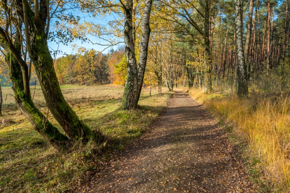 Wandelpaden drenthe cropped